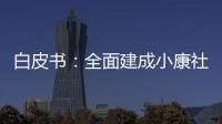 白皮书：全面建成小康社会以发展促人权增进经济社会文化权利