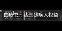 白皮书：我国残疾人权益保障更加有力