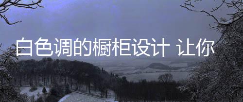 腻味了灰色的橱柜厨房黯淡