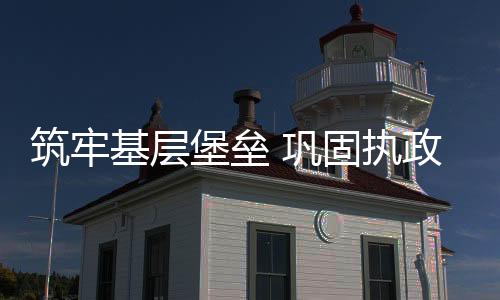 乡	、筑牢执政确定整顿方案