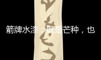 箭牌水漆：既是芒种，也是世界环境日!