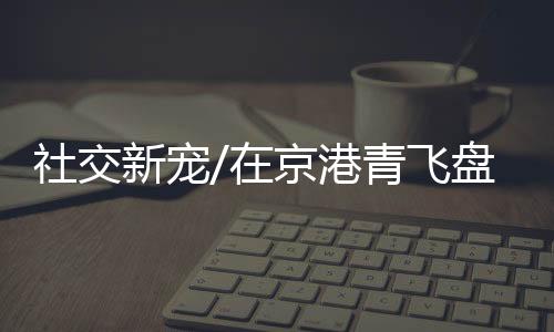 娱乐性强的社交运动
