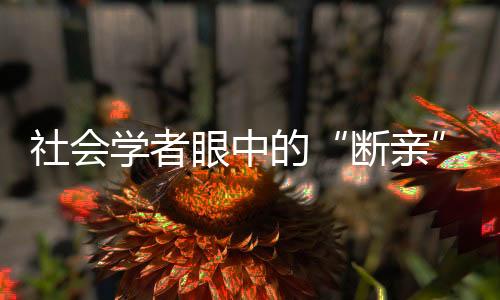 不代表生活史做了一些梳理