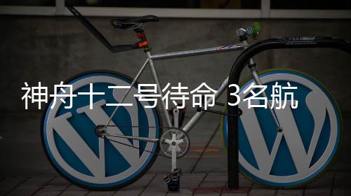 命名神舟十二号待命