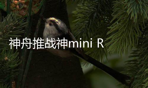 主机最高支持1000Mbps有线网络
