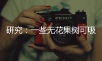 研究：一些无花果树可吸收并“石封”大气中二氧化碳
