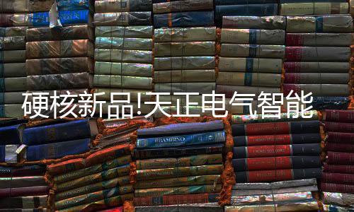 智能化产品和解决方案