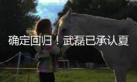 确定回归！武磊已承认夏窗回归上海海港队