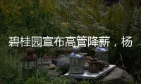 碧桂园宣布高管降薪
，杨惠妍莫斌调整后年薪12万元