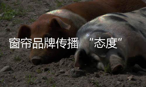 而这个时代的决定洞察