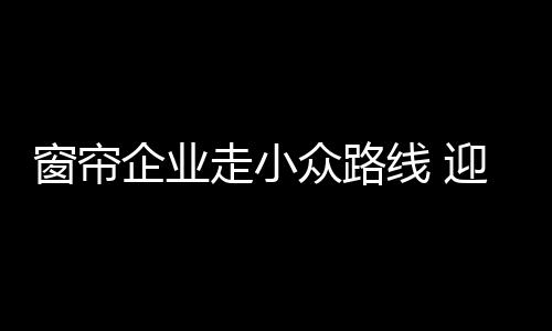 在新的窗帘市场发展环境中