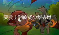 突发！94岁杨少华去世：中午35度高温参加商业活动，下午突然离世