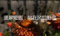竖屏短剧：站在风口野蛮生长