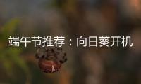 端午节推荐	：向日葵开机插座，定时能远程开关机