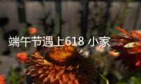 端午节遇上618 小家电企业促销应注重创新