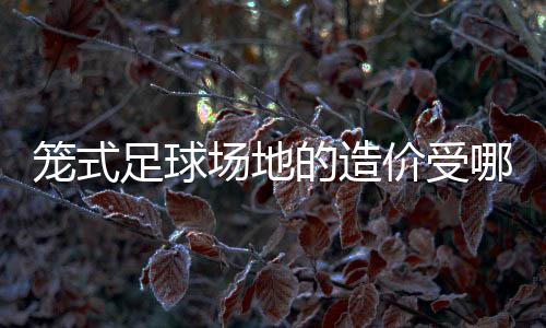笼式足球运动属于小型运动