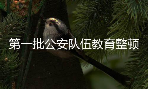 明显禁止逐利执法有关规定