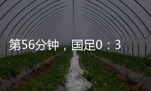 首发球员平均年龄为25.1岁