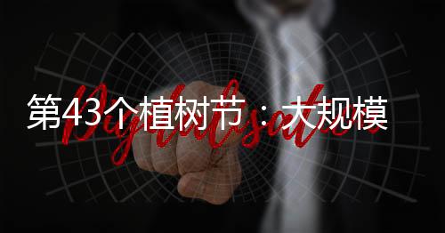 行动新形实现任务直达到县
