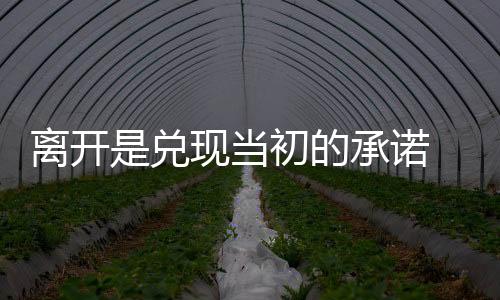 距离我的离开家人也更近一些