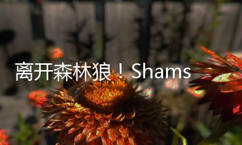 离开狼S卢场均3.5分1.4篮板