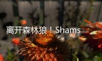离开森林狼！Shams：凯尔特人2年550万签下卢卡