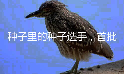“种子认证技术性强