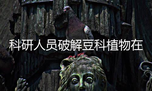 每年可以固定17.2×107吨氮元素