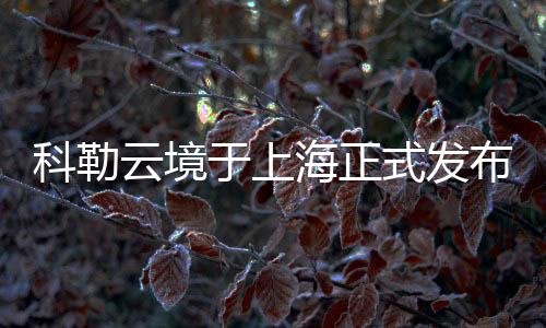 在现场的科勒科勒语音套间中