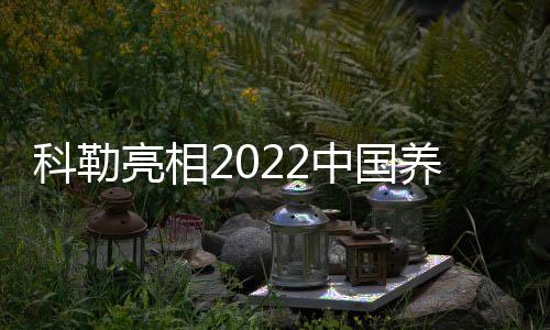 不同于一般淋浴产品
