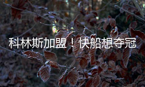 斯加就可以看得出来