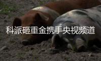 科派砸重金携手央视频道，厨卫市场再掀波澜