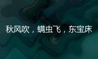 秋风吹，螨虫飞�，东宝床垫让你免受螨虫干扰