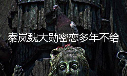 她享受当下的秦岚甘甜和愉快