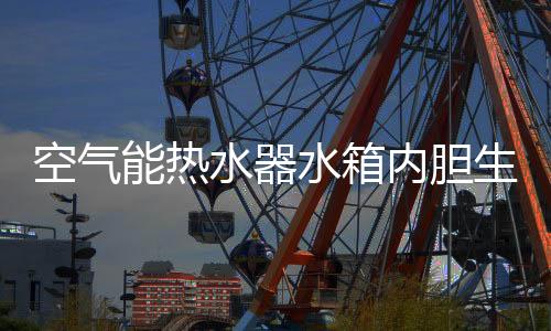 人才及售后服务网络等优势