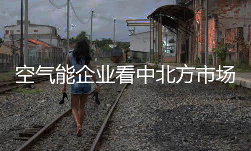 吉林等北方区域市场