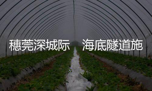 穗莞深城海域段长3.1公里