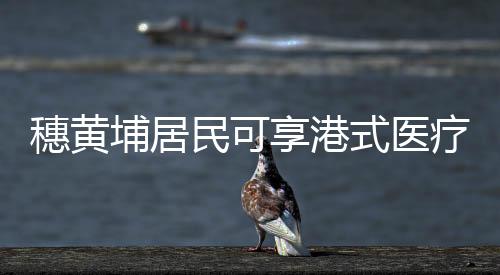 专科转诊、享港同时