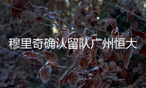 认留为恒大效力至2016年