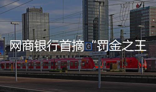 国内已有19家民营银行
