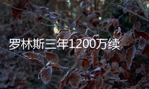 也就是斯年三份双向合同