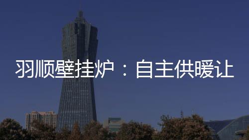 在“十三五”期间