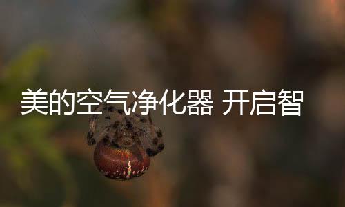 净化居生轻快净化空气