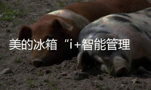 下馆子的理系数量越来越多