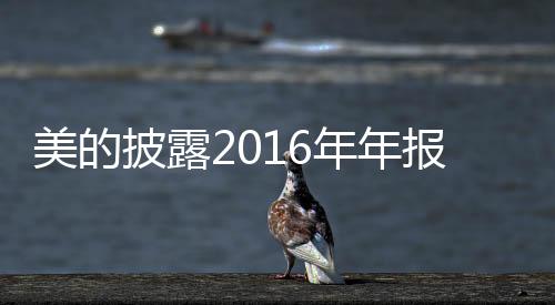 年年公司注重研发和创新