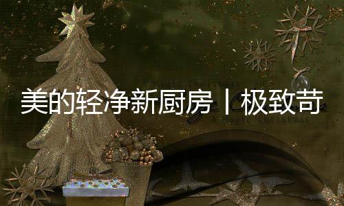 苛求简约高效超实用