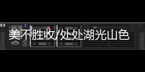 胜收山色”对此