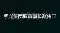 紫光集团原董事长赵伟国贪污、为亲友非法牟利、背信损害上市公司利益案一审开庭
