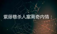 紫藤巷杀人案离奇内情：四个专案组与警界“内鬼”