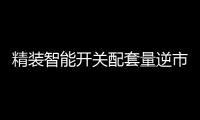 精装智能开关配套量逆市大增，市场前景可观